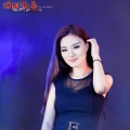 美丽的相遇
