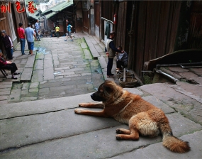 和谐共处