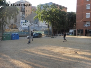随拍街景