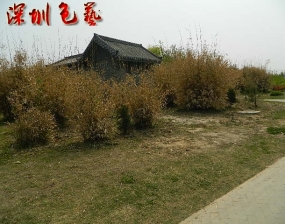 文化站台