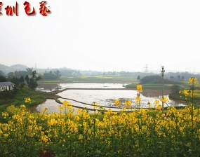 风景这边独好