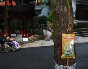 呵护生命