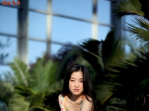 妖精