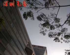 手机拍摄几张